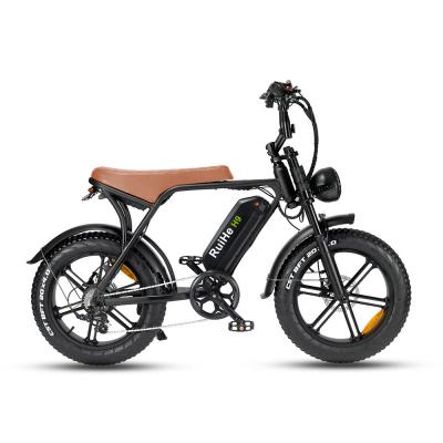 Ruihe H9 Electric Bike with 1000W Brushless Motor 