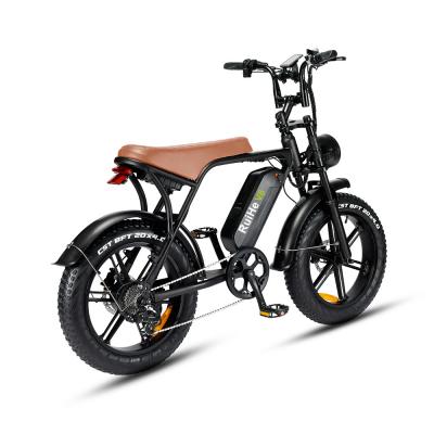 Ruihe V8Pro Electric mountain bike