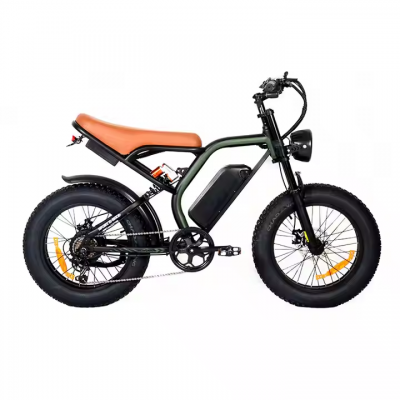 Ruihe K6 Fat Tire Electric Bike